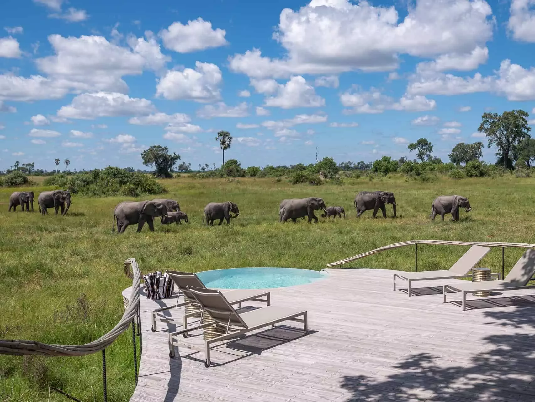 Little Mombo Camp in Botswana (c) Wilderness Safaris_Dana Allen