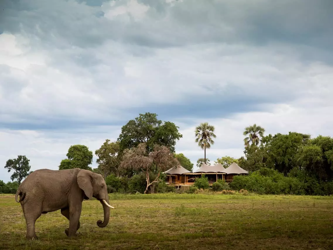 Wilderness Safaris Mombo Camp (c) Wilderness Safaris - Crookes and Jackson